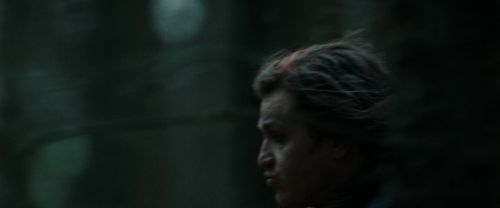 RdM1-Potterish12073.jpg