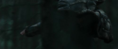 RdM1-Potterish12076.jpg
