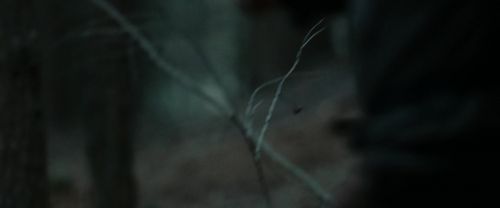 RdM1-Potterish12078.jpg