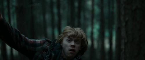 Click to view full size image
==============
RdM1-Potterish12085.jpg RdM1-Potterish12085.jpg