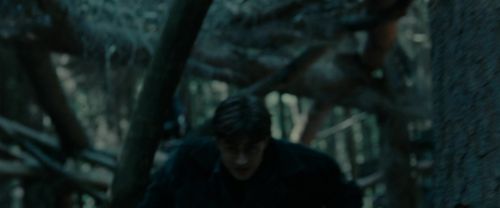 RdM1-Potterish12093.jpg