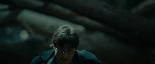 RdM1-Potterish12098.jpg