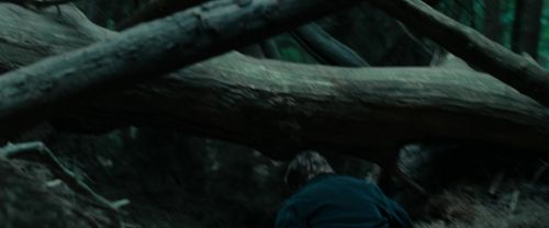 Click to view full size image
==============
RdM1-Potterish12100.jpg RdM1-Potterish12100.jpg