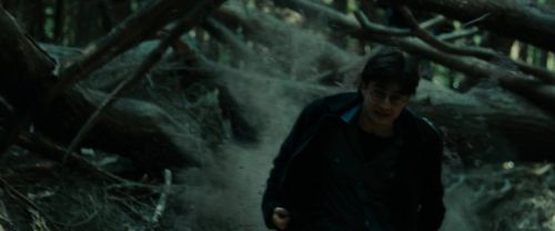 Click to view full size image
==============
RdM1-Potterish12102.jpg RdM1-Potterish12102.jpg