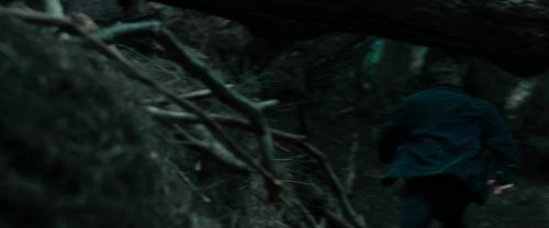 RdM1-Potterish12103.jpg