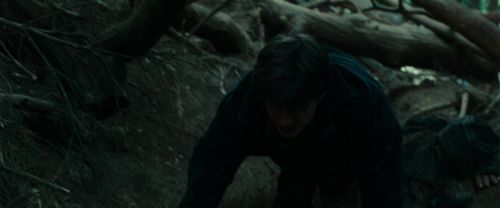 RdM1-Potterish12114.jpg