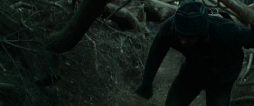RdM1-Potterish12116.jpg