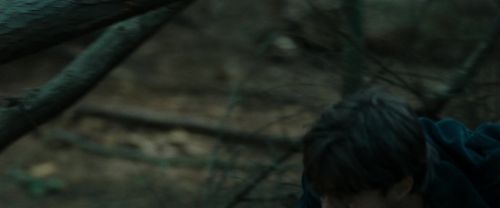 RdM1-Potterish12117.jpg