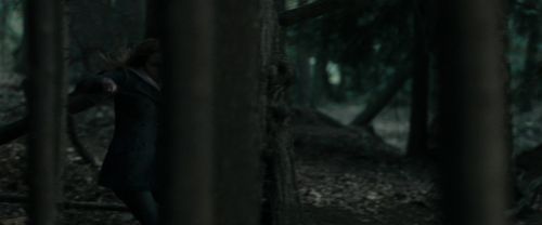 Click to view full size image
==============
RdM1-Potterish12118.jpg RdM1-Potterish12118.jpg