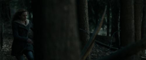 Click to view full size image
==============
RdM1-Potterish12119.jpg RdM1-Potterish12119.jpg