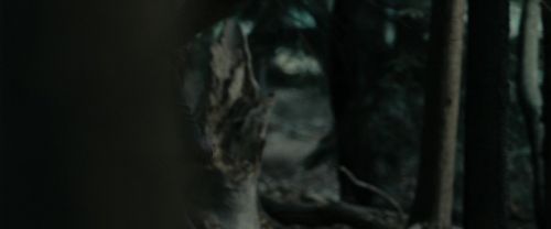 Click to view full size image
==============
RdM1-Potterish12121.jpg RdM1-Potterish12121.jpg