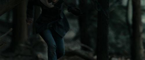 RdM1-Potterish12122.jpg