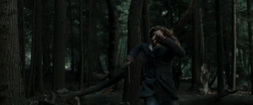 RdM1-Potterish12124.jpg