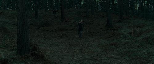 Click to view full size image
==============
RdM1-Potterish12129.jpg RdM1-Potterish12129.jpg