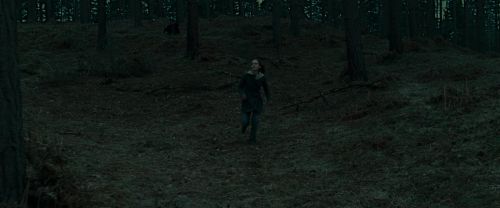 Click to view full size image
==============
RdM1-Potterish12130.jpg RdM1-Potterish12130.jpg