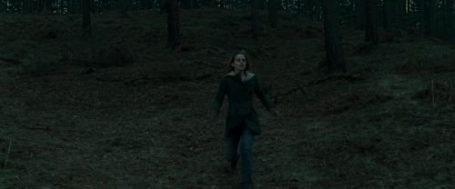 RdM1-Potterish12131.jpg