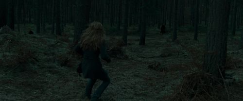Click to view full size image
==============
RdM1-Potterish12133.jpg RdM1-Potterish12133.jpg