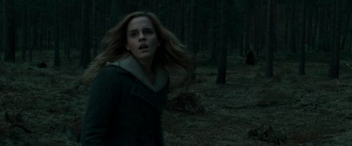 Click to view full size image
==============
RdM1-Potterish12136.jpg RdM1-Potterish12136.jpg