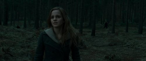 Click to view full size image
==============
RdM1-Potterish12137.jpg RdM1-Potterish12137.jpg