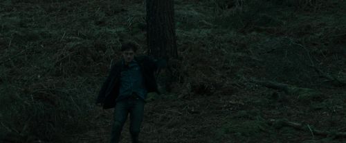 Click to view full size image
==============
RdM1-Potterish12138.jpg RdM1-Potterish12138.jpg