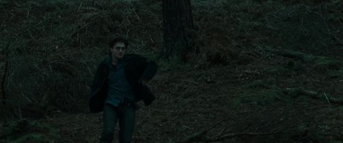 Click to view full size image
==============
RdM1-Potterish12139.jpg RdM1-Potterish12139.jpg