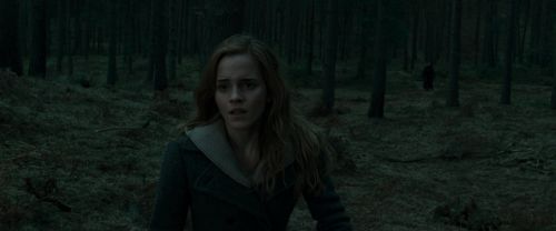 Click to view full size image
==============
RdM1-Potterish12140.jpg RdM1-Potterish12140.jpg
