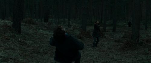 RdM1-Potterish12142.jpg