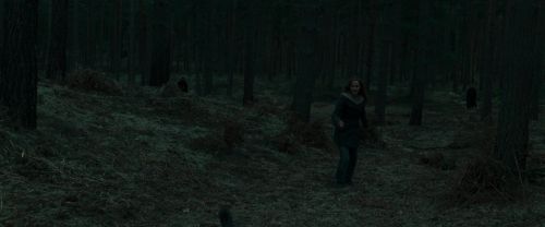RdM1-Potterish12143.jpg