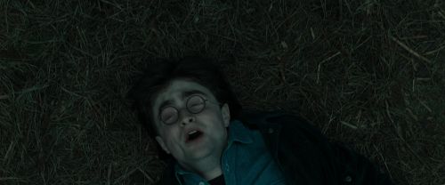 RdM1-Potterish12144.jpg