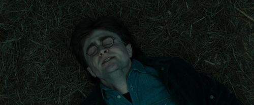 RdM1-Potterish12145.jpg