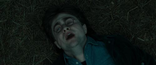 RdM1-Potterish12146.jpg