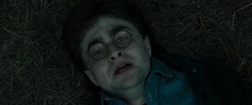 Click to view full size image
==============
RdM1-Potterish12147.jpg RdM1-Potterish12147.jpg