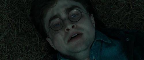 Click to view full size image
==============
RdM1-Potterish12148.jpg RdM1-Potterish12148.jpg
