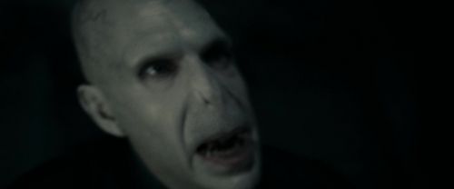 RdM1-Potterish12162.jpg