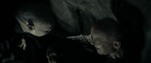 RdM1-Potterish12175.jpg