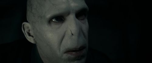 RdM1-Potterish12198.jpg
