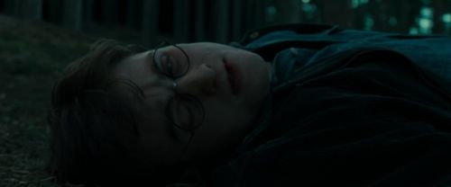RdM1-Potterish12209.jpg