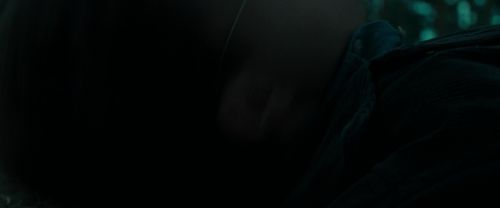 RdM1-Potterish12214.jpg