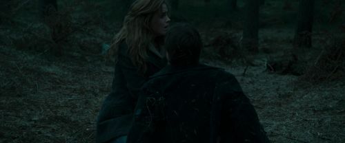 RdM1-Potterish12221.jpg