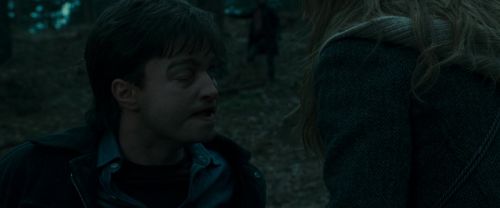 RdM1-Potterish12232.jpg
