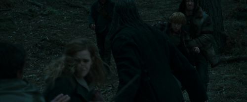 RdM1-Potterish12235.jpg
