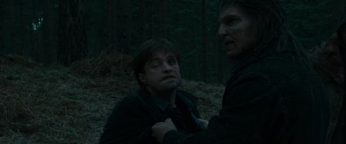 RdM1-Potterish12257.jpg