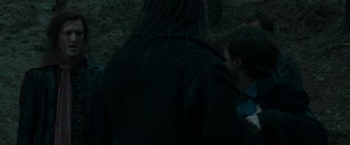 RdM1-Potterish12259.jpg