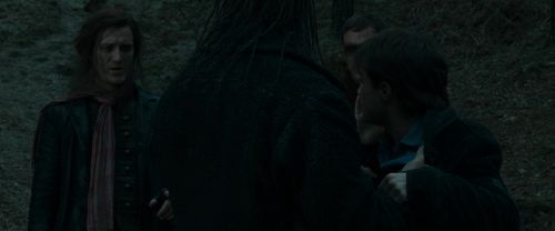 RdM1-Potterish12261.jpg