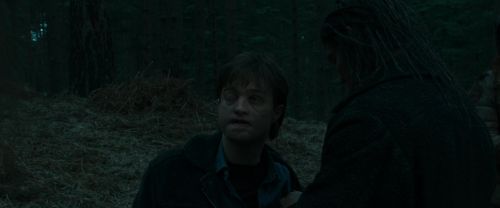 RdM1-Potterish12268.jpg