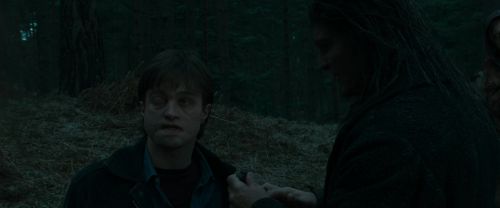 Click to view full size image
==============
RdM1-Potterish12271.jpg RdM1-Potterish12271.jpg