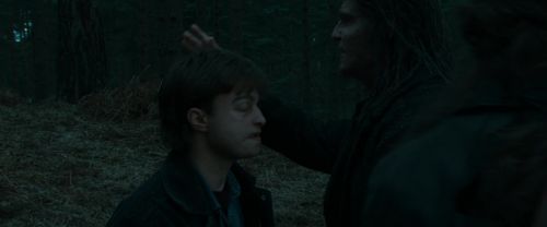 RdM1-Potterish12274.jpg