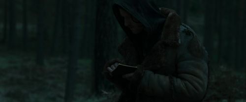 RdM1-Potterish12305.jpg