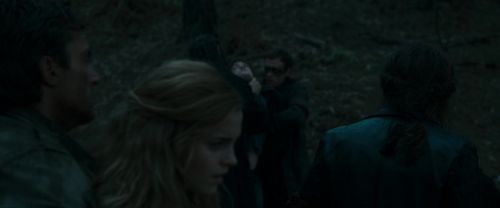 RdM1-Potterish12317.jpg