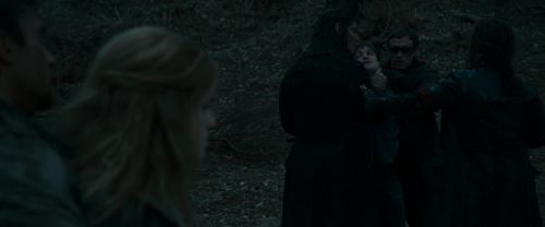 RdM1-Potterish12328.jpg